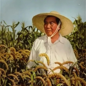 悼念教员：50年了，待到山花烂漫时，她在丛中笑！