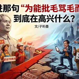 胡锡进那句“为能批毛骂毛而高兴”，到底在高兴什么？