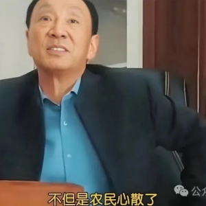 红色少女 |  "改革第一村"：头可断血可流，誓死不为集体干活！ ...