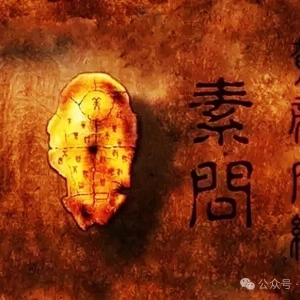 希言社 | 废除“以西律中”：成立与卫健委平级的中医委，刻不容缓 ...
