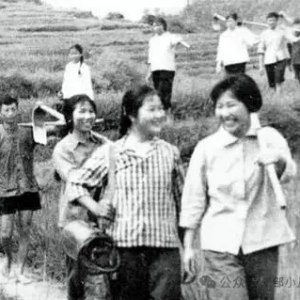空山新雨：中国知识分子的精神基因，应该有一个伟大的“设计师”认真设计一番！ ...