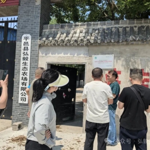 《红延》编辑部：为中国生态农业坚守的二十年