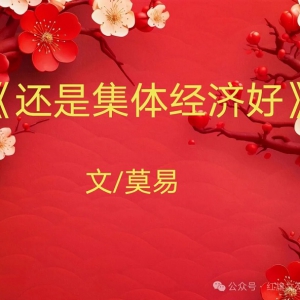 莫易：还是集体经济好