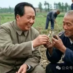 方菁：毛主席坐在地头的一张照片，让多少人泪目！