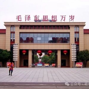 唱歌的麻雀：南街村不一定是标准答案，但它让我们看到了另一种可能！ ...