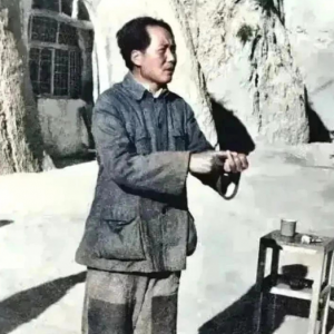 方菁：“他老人家若还在世，我将义无顾，生死追随！” 说出多少人的心声 ...