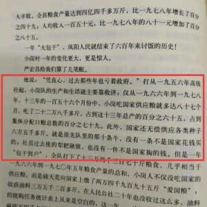 岸上人家：大跃进时期的错误到底是谁造成的？