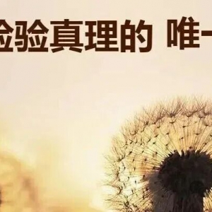 现在再进行一次“真理大讨论”，最耀眼的真理是什么？
