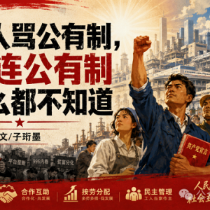 子珩墨：很多人骂公有制，其实连公有制是什么都不知道