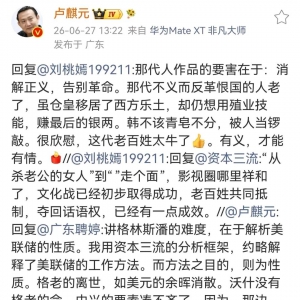 毛粒子：谁在“消解正义”？
