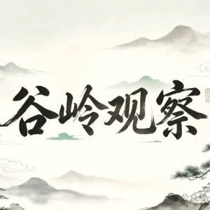 谷岭观察：资本为何要吹小岗村的风？