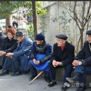 空山新雨：当务之急是“拯救乡村”，而不是“振兴乡村”！ ...