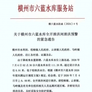 欧洲金靴 | 六蓝水库之溃：逸乐安知与祸双