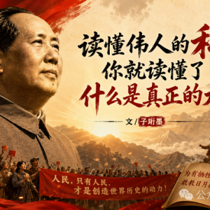 子珩墨：伟人真的没有私心吗？