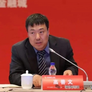 吴铭：从著名经济学家高善文之死说起