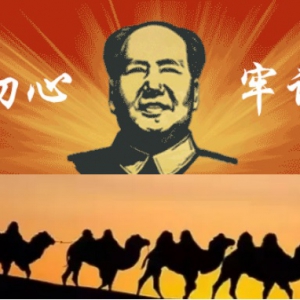 陈先义｜网络管理，怎能至于一删了之..