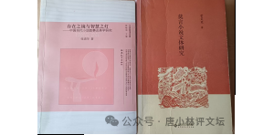 唐小林：莫言之女博士论文涉嫌抄袭