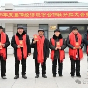 岸上人家：谈谈小岗的成就