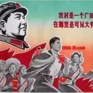 毛主席怒斥：我现在还活着呢，他们就这样...