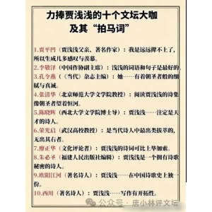 唐小林： 是谁“杀死”了贾平凹父女