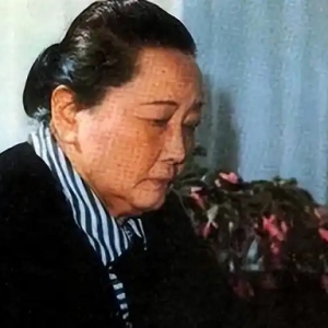 宋庆龄晚年含泪坦言：纪念碑那八个字，就是毛主席一生的墓志铭 ...