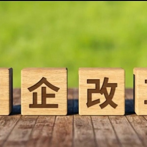 之乎者也：国有资产流失令人悲愤，支持倒查三十年