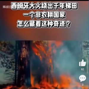 历史新认知：西班牙大火烧出华夏梯田，指鹿为马原来是写实（罗马修改版） ...