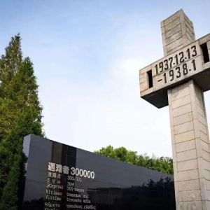 毛粒子：社交媒体不是 “精日” 潜伏阵地