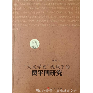 唐小林：杨辉夫妇写给贾平凹的“投名状”