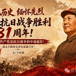 子珩墨：雄关漫道真如铁，千古伟人耀长空——为什么说毛主席是抗战胜利的真正灵魂？ ...