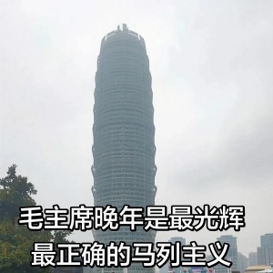 司马建国：自家院里立毛主席像被拆，寒的是百姓缅怀的心