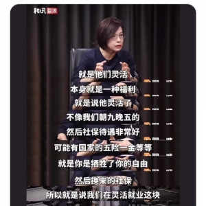 毛粒子：灵活就业是一种福利？扒一扒“福利”专家的辩证法 ...
