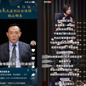 毛粒子：从两种社保观点看两种专家