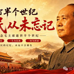 子珩墨：为什么一提毛主席，总有人急着提醒“一分为二”？ ...