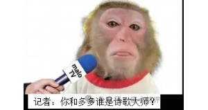 唐小林评文坛： 诗人多多，装疯也成不了“大师”