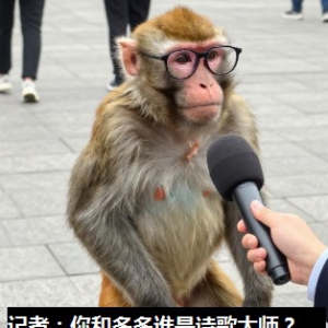唐小林评文坛： 诗人多多，装疯也成不了“大师”