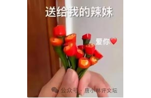 唐小林评文坛：阎连科为何不骂陈晓明