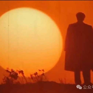 子珩墨：并没有什么晚年错误，只有一位伟人在历史巅峰的孤独突围 ...