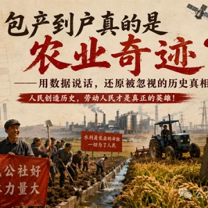 子珩墨：“包产到户创造农业奇迹”？数据可能告诉你另一面 ...