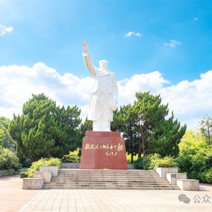 没有骆驼的祥子：毛主席离开后的50年：一名70后灵活就业者的回望与思索 ...