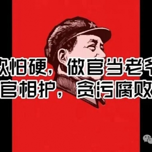 清笙阁：能打败我们的，只有内部的官僚主义