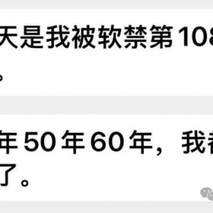老巫白话 | 我认识的宋英大姐：她身上，仍有赵一曼和江姐的影子 ...