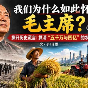 子珩墨 | 我们为什么如此怀念毛主席？（一） 撕开历史谎言：算清“五千万与四亿”的农 ...