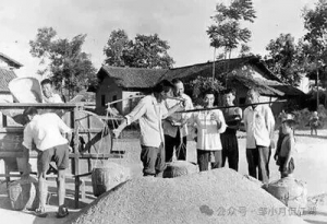 空山新雨：1978年，我上初二，生产队给我评工分标准16分，同龄人最高 ...