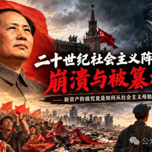 子珩墨：为什么修正主义会篡权社会主义？ ——用马列毛主义与现代批判理论解剖二十世 ...