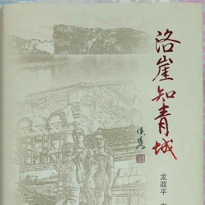 葛元仁｜读《洛崖知青城》有感