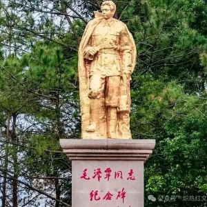 炽热红文：55年授衔时，若毛泽覃还在，应该会授衔将军