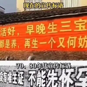 唱歌的麻雀：计划生育基本国策背得起中国人口负增长的黑锅吗 ...
