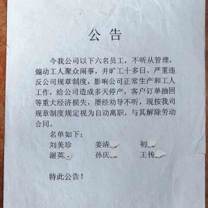 张军：澳利威工会事件纪实（十）