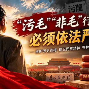 青年张同：《反毛辱毛》是中国历史上最无耻最反动的事件，必须依法严惩 ...